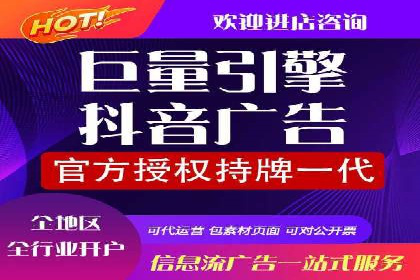 大型企业SEM外包实战案例